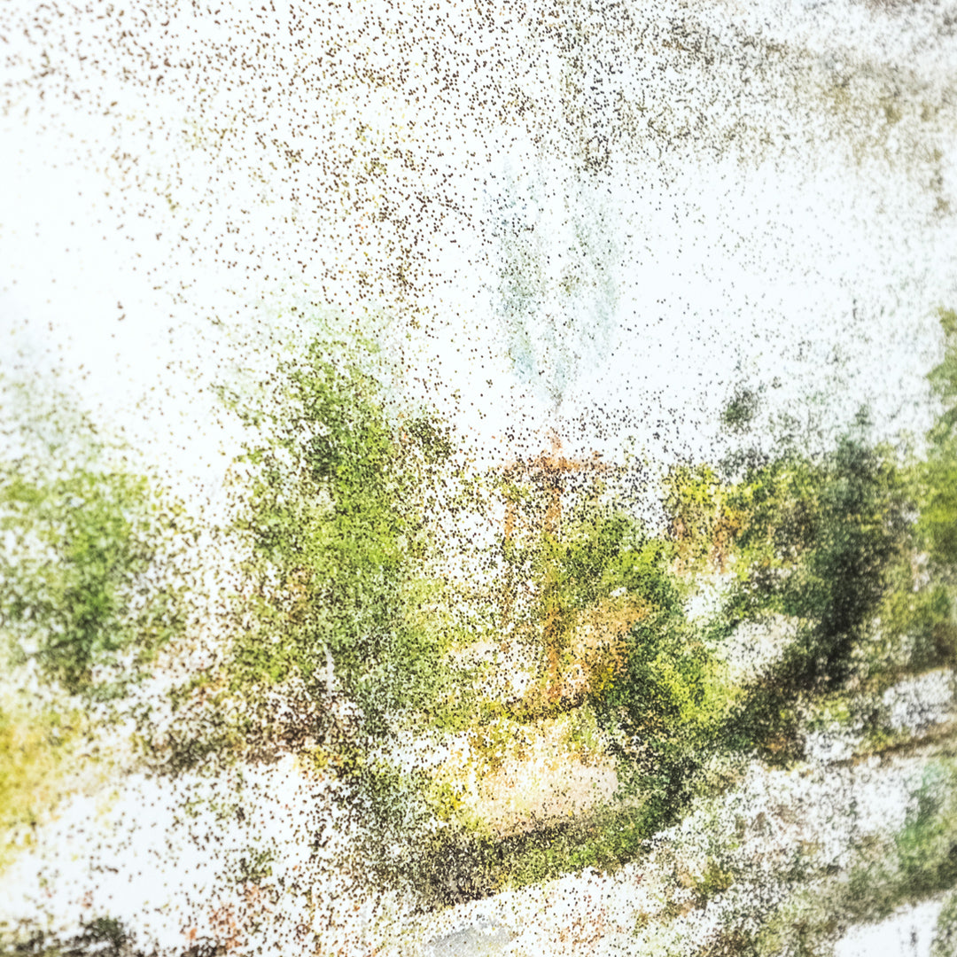 Daniel Bourgais, Jardin de l’Arche, paysage en mouvement V, été 2023