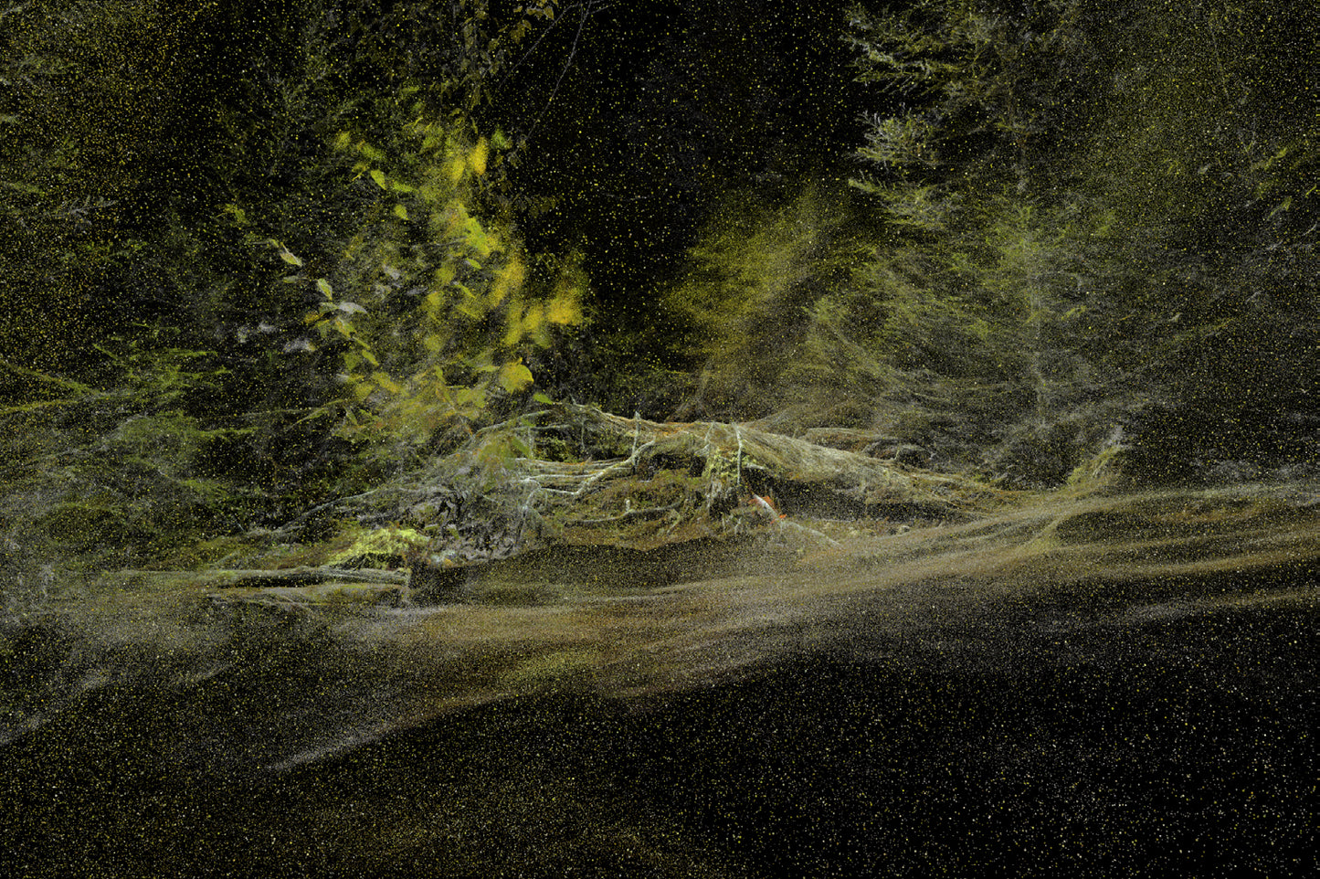 Paul Duncombe, Manicouagan, Ghosts, ARC-IV (201-05-04500), 2024